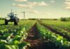 Agriculture is ready for AI, but its data isn’t Agriculture is ready for AI, but its data isn’t