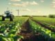 Agriculture is ready for AI, but its data isn’t Agriculture is ready for AI, but its data isn’t