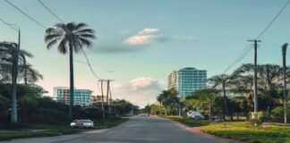Florida bans local governments from pursuing net-zero emissions goals Florida bans local governments from pursuing net-zero emissions goals