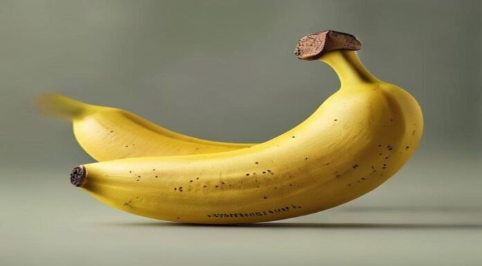 Google's new Nano Banana 2 Lite image model is its fastest and cheapest yet Google's new Nano Banana 2 Lite image model is its fastest and cheapest yet