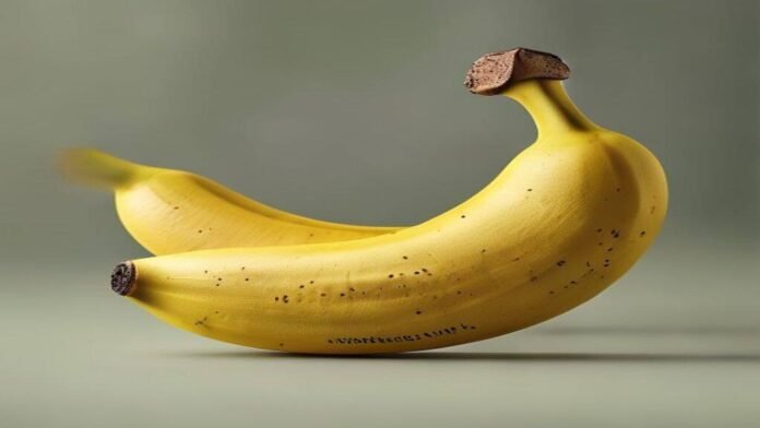 Google's new Nano Banana 2 Lite image model is its fastest and cheapest yet