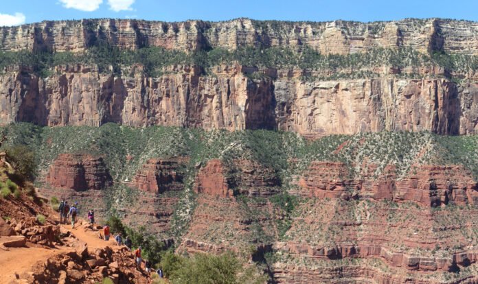 Grand Canyon National Park: Ranger Guided Hike To Cedar Ridge - 0239