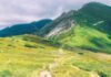 The Download: AI bottleneck debates, and BCI trials take off