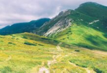 The Download: AI bottleneck debates, and BCI trials take off