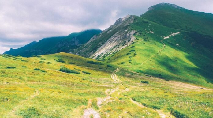 The Download: AI bottleneck debates, and BCI trials take off