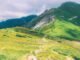 The Download: AI bottleneck debates, and BCI trials take off