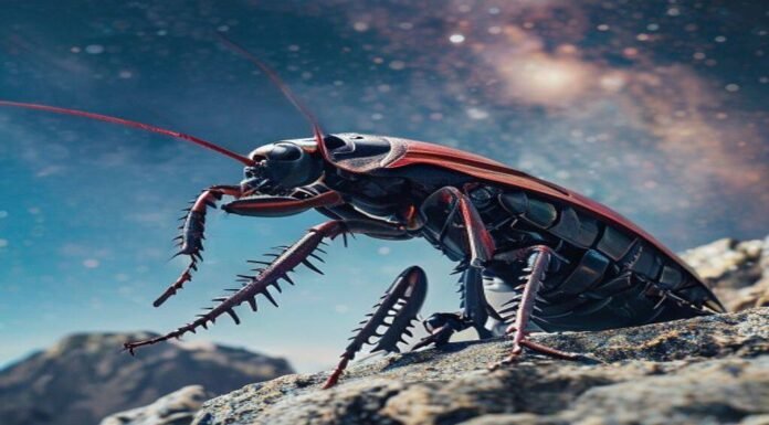 A 10-year sky survey begins filming a 'cosmic movie,' cyborg cockroaches go for a dive and more science stories A 10-year sky survey begins filming a 'cosmic movie,' cyborg cockroaches go for a dive and more science stories