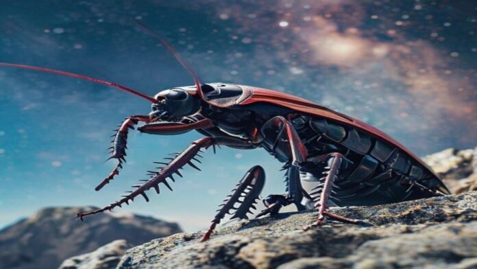 A 10-year sky survey begins filming a 'cosmic movie,' cyborg cockroaches go for a dive and more science stories