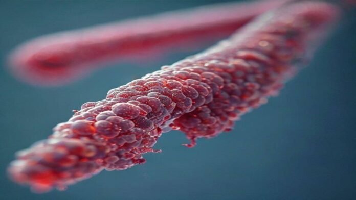 Sperm donors need limits, says a European fertility group