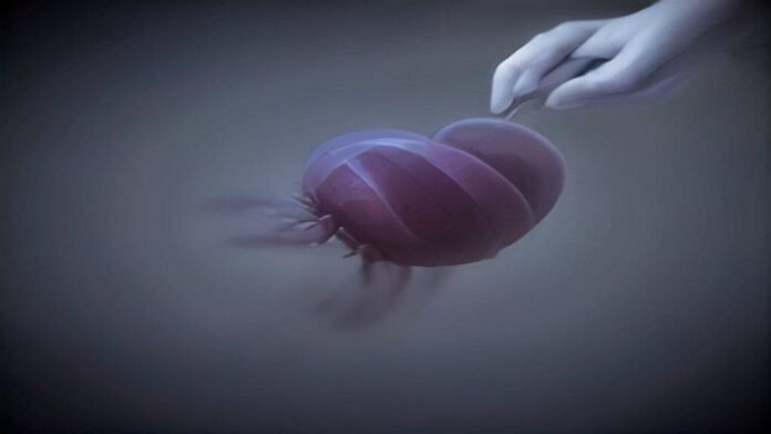 Cloning could be used to save species—or make human “organ sacks”