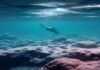 Snorkel AI triples valuation to $3.5B as demand for AI training data booms Snorkel AI triples valuation to $3.5B as demand for AI training data booms