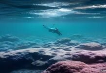 Snorkel AI triples valuation to $3.5B as demand for AI training data booms Snorkel AI triples valuation to $3.5B as demand for AI training data booms