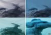 Canva’s first AI image model plans designs before generating them Canva’s first AI image model plans designs before generating them
