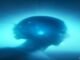 Connecting AI agents to enterprise knowledge Connecting AI agents to enterprise knowledge