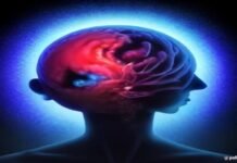 One with the world? A new look at brains transformed by psychedelics. One with the world? A new look at brains transformed by psychedelics.