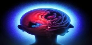 One with the world? A new look at brains transformed by psychedelics. One with the world? A new look at brains transformed by psychedelics.