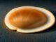 PHP2Shell: Haven’t patched yet? Take these steps now to mitigate PHP2Shell: Haven’t patched yet? Take these steps now to mitigate