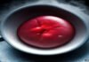 The Download: reviving frozen pig kidneys and boosting nuclear power The Download: reviving frozen pig kidneys and boosting nuclear power