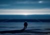 Will the real Anthropic please stand up Will the real Anthropic please stand up